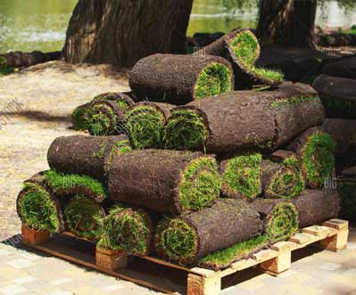 New Lawns Sod-Hydro Seed