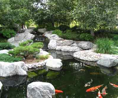 Fish Ponds