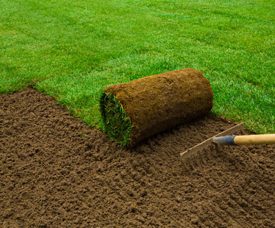 Yard Grading and Leveling